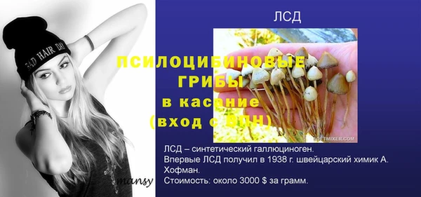 прущие грибы Балабаново