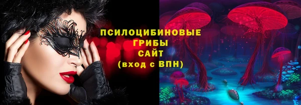 прущие крисы Балахна