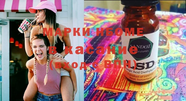 прущие грибы Балабаново