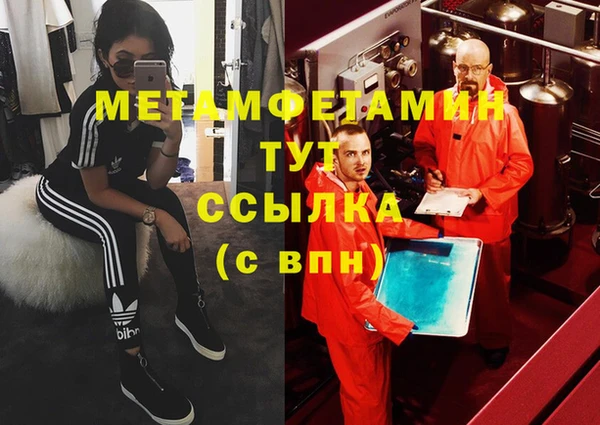 прущие грибы Балабаново