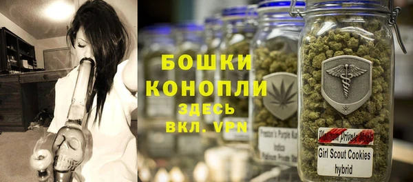 прущие грибы Балабаново